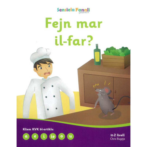 Picture of SENSIELA FANALI 2: FEJN MAR IL-FAR?